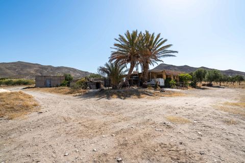 Terra a Tabernas, Almeria, Tabernas - € 549.000 | Ref: EXP07893/8930 - foto 19