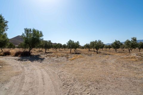 Terra a Tabernas, Almeria, Tabernas - € 549.000 | Ref: EXP07893/8930 - foto 20