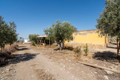 Terra a Tabernas, Almeria, Tabernas - € 549.000 | Ref: EXP07893/8930 - foto 22