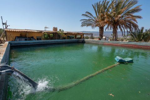 Terra a Tabernas, Almeria, Tabernas - € 549.000 | Ref: EXP07893/8930 - foto 24