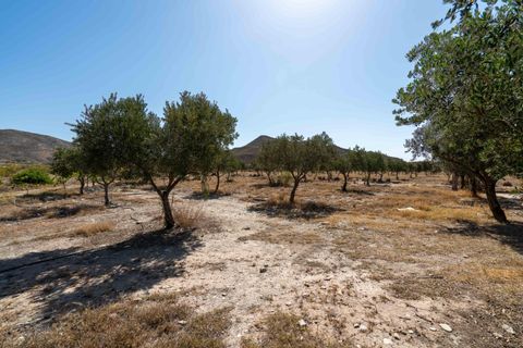 Terra a Tabernas, Almeria, Tabernas - € 549.000 | Ref: EXP07893/8930 - foto 26