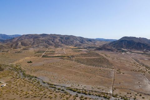 Terra a Tabernas, Almeria, Tabernas - € 549.000 | Ref: EXP07893/8930 - foto 29