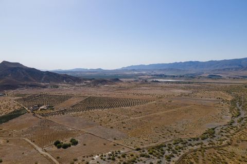 Terra a Tabernas, Almeria, Tabernas - € 399.000 | Ref: EXP07895/8930 - foto 5