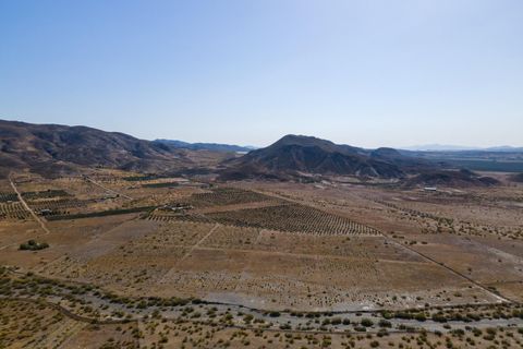 Terra a Tabernas, Almeria, Tabernas - € 399.000 | Ref: EXP07895/8930 - foto 6