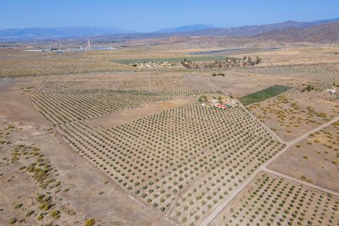 Terra a Tabernas, Almeria, Tabernas - € 299.000 | Ref: EXP07897/8930 - foto 5