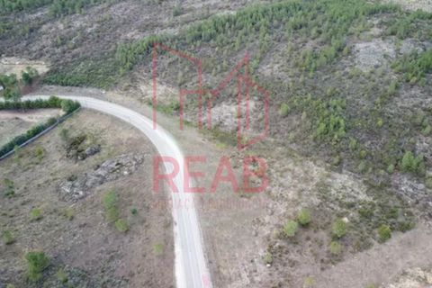 Helårsgrund i Quintela, Viseu, Quintela - € 240.000 | Ref: 170/ 2024 - foto 10