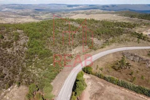 Helårsgrund i Quintela, Viseu, Quintela - € 240.000 | Ref: 170/ 2024 - foto 11