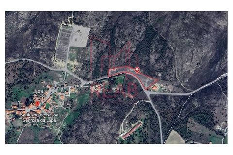 Helårsgrund i Quintela, Viseu, Quintela - € 240.000 | Ref: 170/ 2024 - foto 16