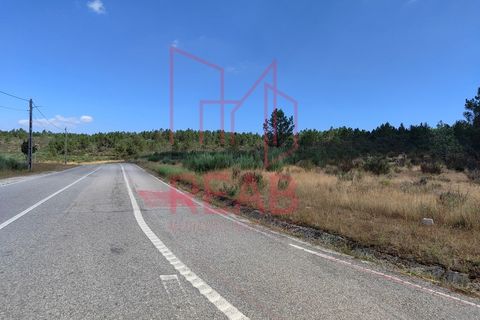 Helårsgrund i Quintela, Viseu, Quintela - € 240.000 | Ref: 170/ 2024 - foto 15