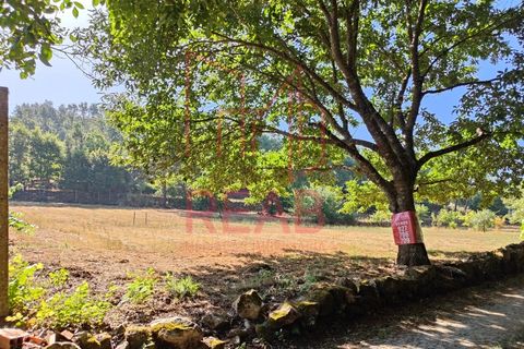 Helårsgrund i Sernancelhe, Viseu, Sernancelhe - € 15.000 | Ref: 169C/ 2024 - foto 1