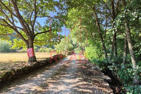 Helårsgrund i Sernancelhe, Viseu, Sernancelhe - € 15.000 | Ref: 169C/ 2024 - foto 2