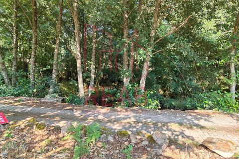 Helårsgrund i Sernancelhe, Viseu, Sernancelhe - € 15.000 | Ref: 169C/ 2024 - foto 3