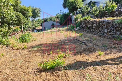 Helårsgrund i Sernancelhe, Viseu, Sernancelhe - € 15.000 | Ref: 169C/ 2024 - foto 6