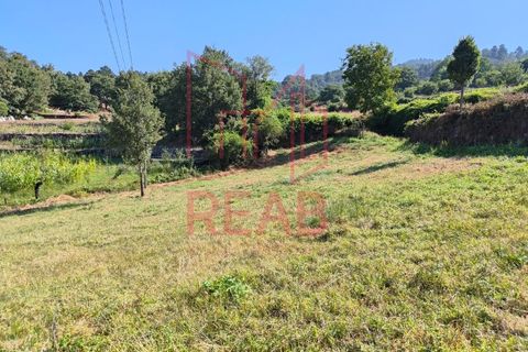 Terra a Sernancelhe, Viseu, Sernancelhe - € 6.000 | Ref: 169B/ 2024 - foto 2