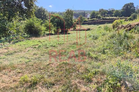 Terra a Sernancelhe, Viseu, Sernancelhe - € 6.000 | Ref: 169B/ 2024 - foto 4