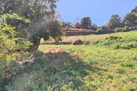 Terra a Sernancelhe, Viseu, Sernancelhe - € 6.000 | Ref: 169B/ 2024 - foto 5