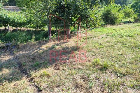 Terra a Sernancelhe, Viseu, Sernancelhe - € 6.000 | Ref: 169B/ 2024 - foto 6