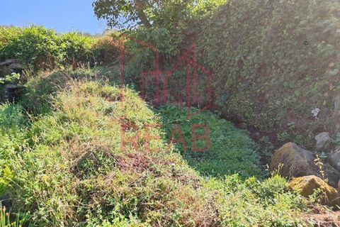 Terra a Sernancelhe, Viseu, Sernancelhe - € 6.000 | Ref: 169B/ 2024 - foto 7