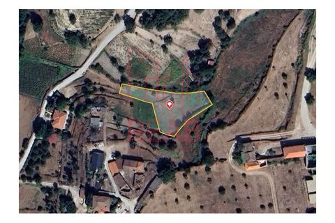Terra a Sernancelhe, Viseu, Sernancelhe - € 6.000 | Ref: 169B/ 2024 - foto 9