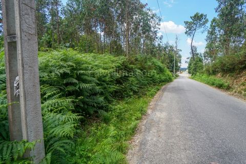 Helårsgrund i Moncao, Viana do Castelo, Moncao - € 75.000 | Ref: 3971 - foto 2