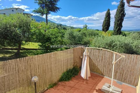 Villa a Cetona, Siena, Cetona - € 245.000 | Ref: VL199 - foto 2