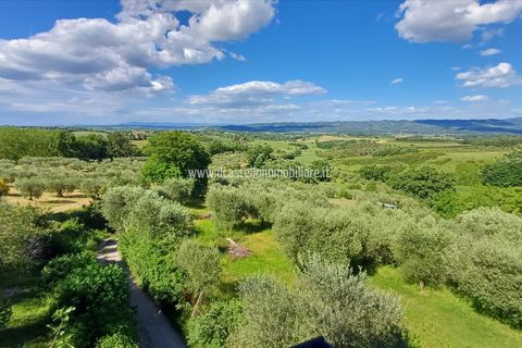 Villa a Cetona, Siena, Cetona - € 245.000 | Ref: VL199 - foto 6