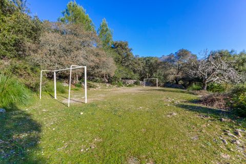 Herregård i Pollenca, Mallorca, Pollenca - € 3 000 000 | Ref: POL52440 - foto 9