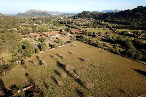 Herregård i Pollenca, Mallorca, Pollenca - € 3 000 000 | Ref: POL52440 - foto 14