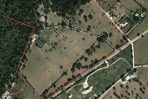 Herregård i Pollenca, Mallorca, Pollenca - € 3 000 000 | Ref: POL52440 - foto 15
