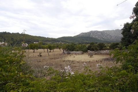 Herregård i Pollenca, Mallorca, Pollenca - € 3 000 000 | Ref: POL52440 - foto 18