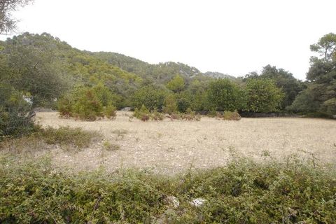 Herregård i Pollenca, Mallorca, Pollenca - € 3 000 000 | Ref: POL52440 - foto 20