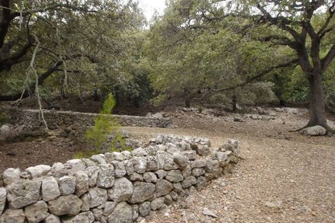 Herregård i Pollenca, Mallorca, Pollenca - € 3 000 000 | Ref: POL52440 - foto 21