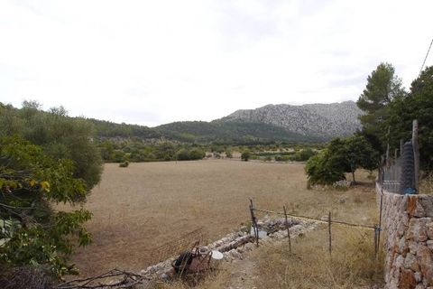 Herregård i Pollenca, Mallorca, Pollenca - € 3 000 000 | Ref: POL52440 - foto 22