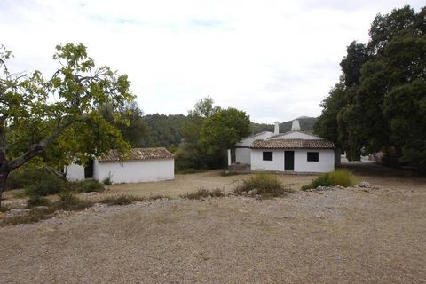 Herregård i Pollenca, Mallorca, Pollenca - € 3 000 000 | Ref: POL52440 - foto 23