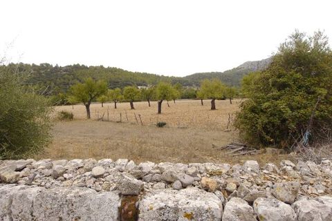 Herregård i Pollenca, Mallorca, Pollenca - € 3 000 000 | Ref: POL52440 - foto 24
