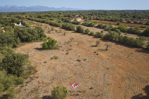 Helårsgrund i Algaida, Mallorca, Algaida - € 269.000 | Ref: S135 - foto 7