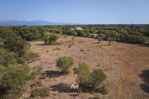 Helårsgrund i Algaida, Mallorca, Algaida - € 269.000 | Ref: S135 - foto 8