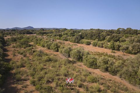 Helårsgrund i Algaida, Mallorca, Algaida - € 269.000 | Ref: S135 - foto 9
