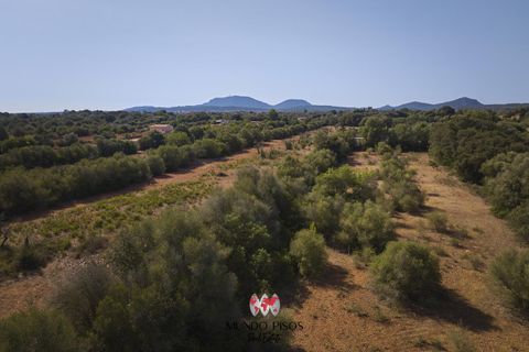 Helårsgrund i Algaida, Mallorca, Algaida - € 269.000 | Ref: S135 - foto 10