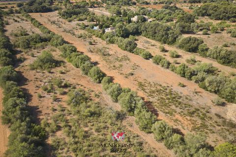 Helårsgrund i Algaida, Mallorca, Algaida - € 269.000 | Ref: S135 - foto 11