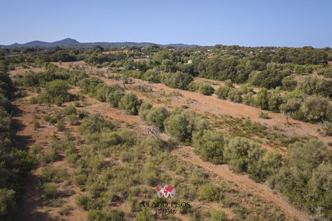 Helårsgrund i Algaida, Mallorca, Algaida - € 269.000 | Ref: S135 - foto 12