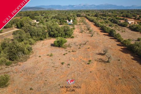 Helårsgrund i Algaida, Mallorca, Algaida - € 269.000 | Ref: S135 - foto 1