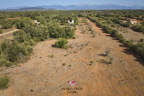 Helårsgrund i Algaida, Mallorca, Algaida - € 269.000 | Ref: S135 - foto 2