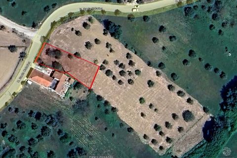 Helårsgrund i Tomar, Santarem, Tomar - € 40.000 | Ref: VCP299 - foto 1