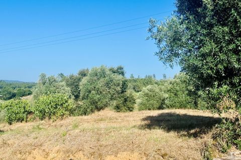Helårsgrund i Tomar, Santarem, Tomar - € 40.000 | Ref: VCP299 - foto 3