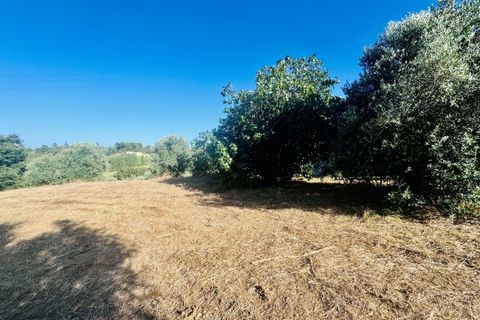 Helårsgrund i Tomar, Santarem, Tomar - € 40.000 | Ref: VCP299 - foto 4