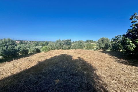 Helårsgrund i Tomar, Santarem, Tomar - € 40.000 | Ref: VCP299 - foto 5
