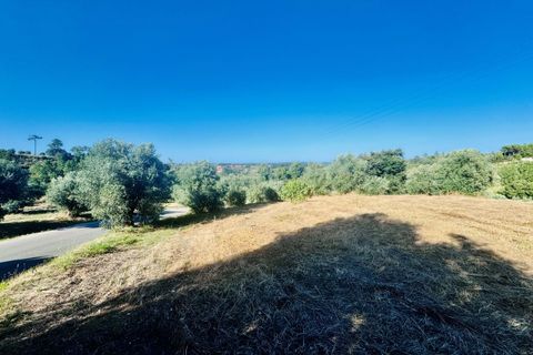Helårsgrund i Tomar, Santarem, Tomar - € 40.000 | Ref: VCP299 - foto 6