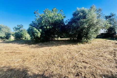 Helårsgrund i Tomar, Santarem, Tomar - € 40.000 | Ref: VCP299 - foto 7