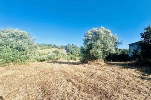 Helårsgrund i Tomar, Santarem, Tomar - € 40.000 | Ref: VCP299 - foto 8